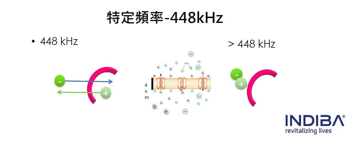 448kHz核心技術-台中INDIBA英特波推薦