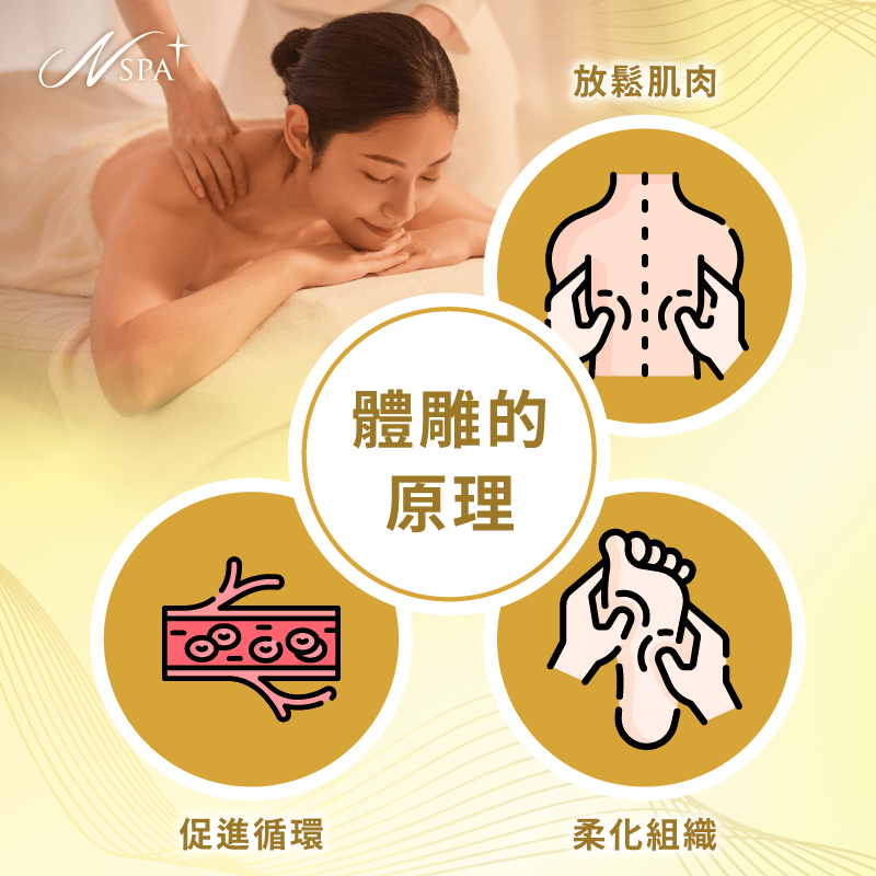 體雕原理-體雕的原理