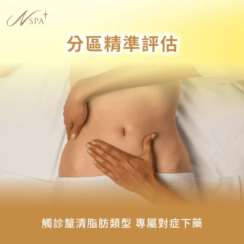 專業身形評估與分區體雕規劃-客製化體雕