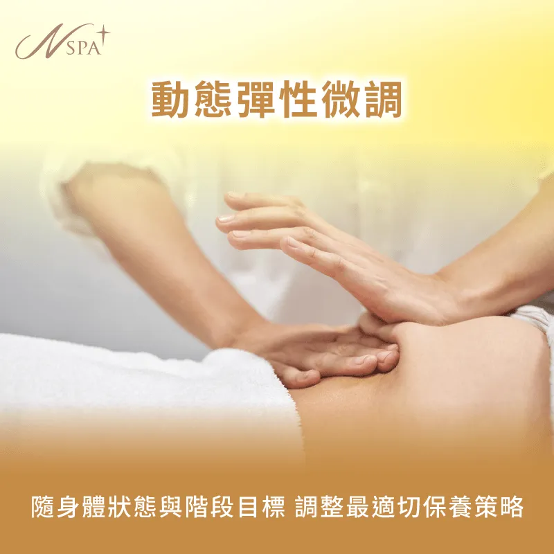 根據階段目標動態調整體雕計畫-客製化體雕