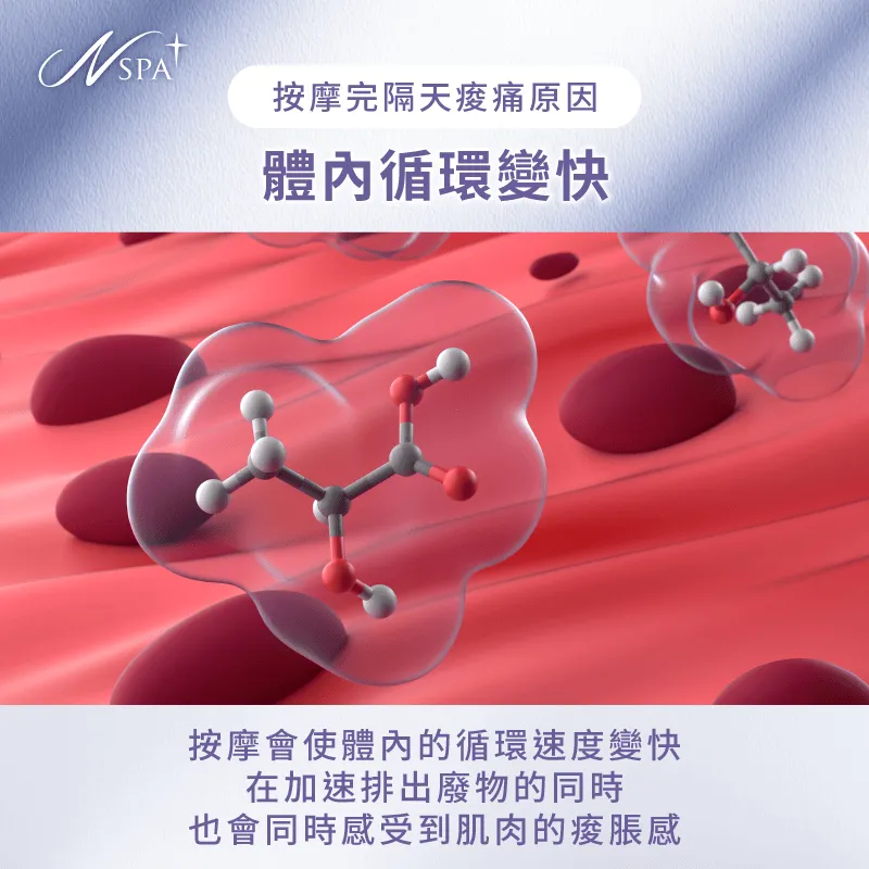 按摩會導致體內循環加速,讓肌肉有暫時性的腫脹感受 體內循環因按摩而加速-按摩完隔天腰酸背痛