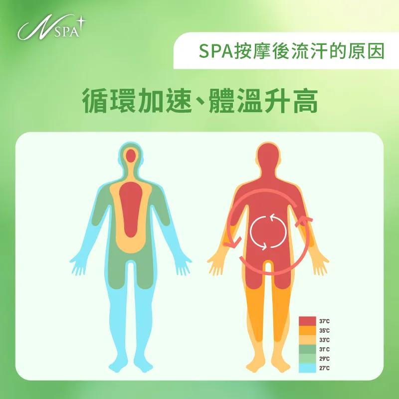 按摩促進血液循環加速,體溫調節自然引發排汗 體內循環加速-SPA按摩後流汗