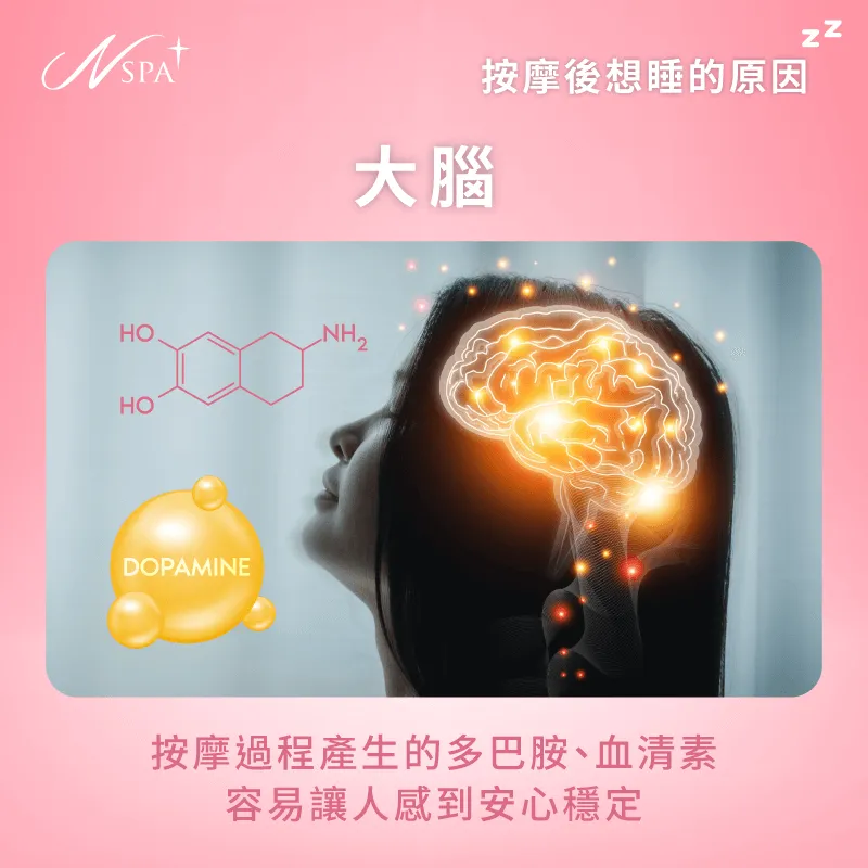 大腦在舒適的狀態下,會發出可以休息的訊號 大腦的舒緩反應-為什麼按摩後會想睡覺