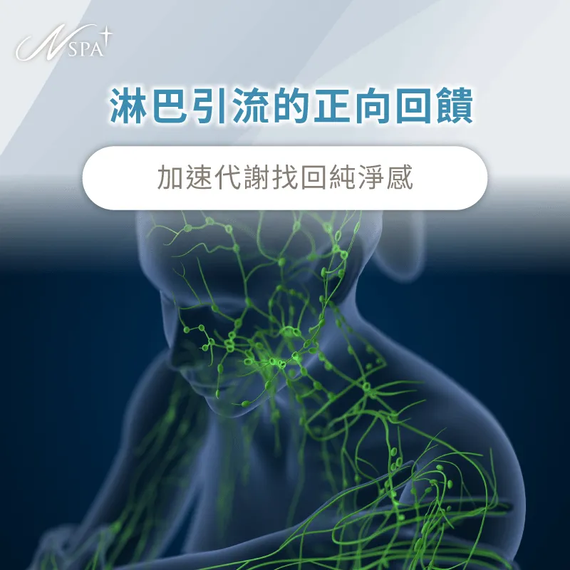 淋巴引流後的循環加速是導致SPA按摩完隔天很累的主因 淋巴循環與代謝解析-為什麼SPA按摩完隔天很累