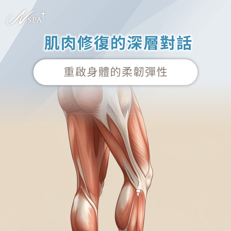 肌肉修復與疲憊訊號-SPA按摩完隔天很累