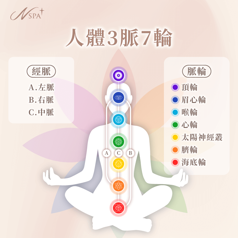 人體七輪共鳴-西班牙精油SPA推薦-台中精油spa推薦